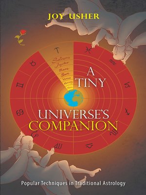 cover image of A Tiny Universe'S Companion